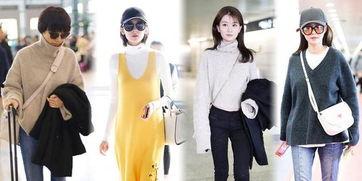 深圳冬季候鸟明星,迁徙之美，生态画卷