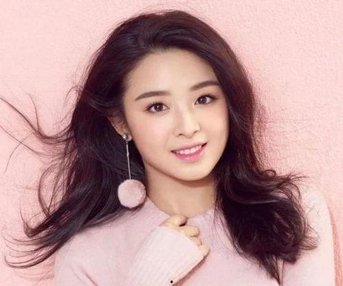 中国四个名字明星,璀璨星河中的璀璨星辰