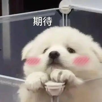 八卦群 吃瓜,揭秘吃瓜群众的狂欢盛宴