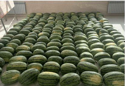 遵义吃瓜最近新闻,揭秘近期热门新闻背后的故事与真相