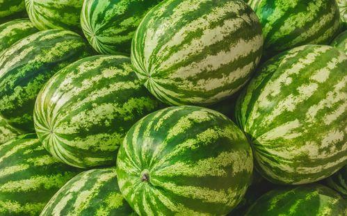 吃瓜大家一起吃瓜,吃瓜大家一起吃瓜的欢乐时光