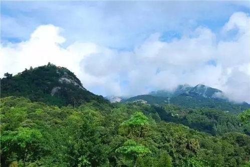 罗浮山明星,揭秘神秘仙境的璀璨星辰